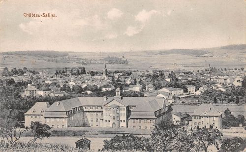 Frankreich 57 Château-Salins Vue generale ngl 198.419