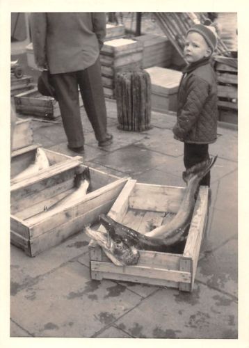 Beruf Fischer FOTO ngl 300.553