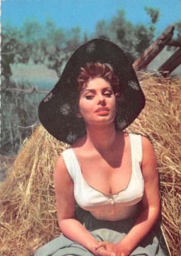 Schauspieler Sophia Loren ngl 300.639