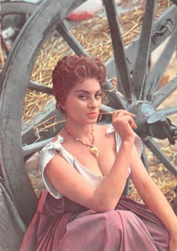 Schauspieler Sophia Loren ngl 300.641