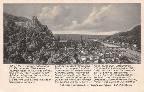 Heidelberg Panorama mit Gedicht ngl 300.728