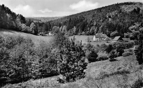 Laudenbach am Main Forsthäuser im Brunntal gl 300.760