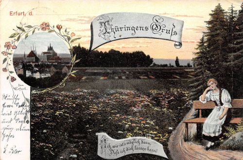 Erfurt Dom und Spruch Mehrbildkarte feldpgl1906 300.799