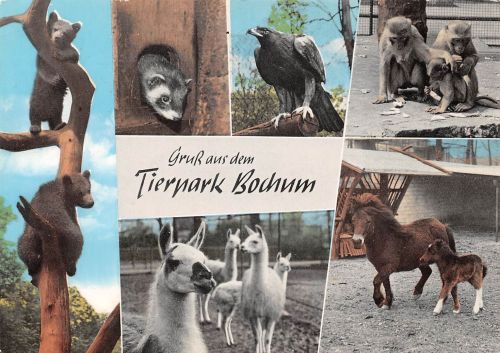 Bochum Tierpark gl 301.095