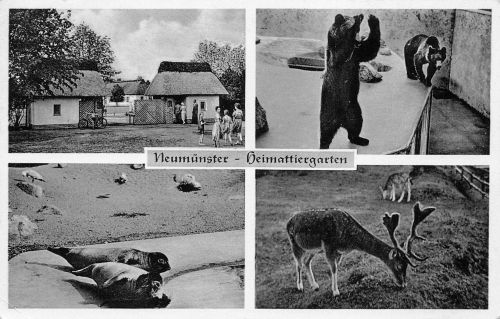 Neumünster Heimattiergarten gl1959 301.118