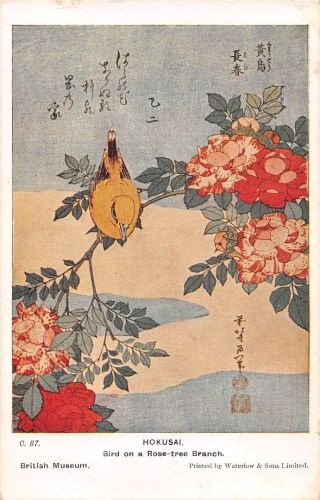 Motiv Künstler Katsushika Hokusai Bird on a Rose-Tree Branch, Japan gl1936 301.146