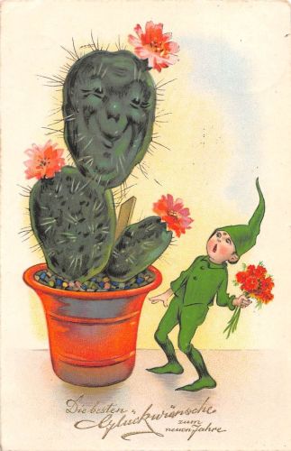 Motiv Glückwunsch Neujahr Kaktus Humor gl1933 301.150