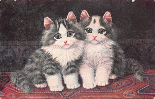 Motiv Tiere Katzen Künstlerkarte gl1928 301.173