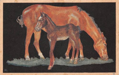 Motiv Tiere 2 Pferde Künstlerkarte gl1943 301.176