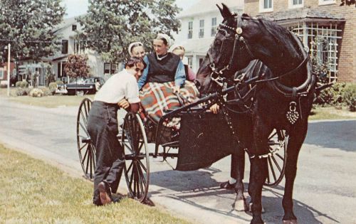 USA The Amish Country ngl 301.316