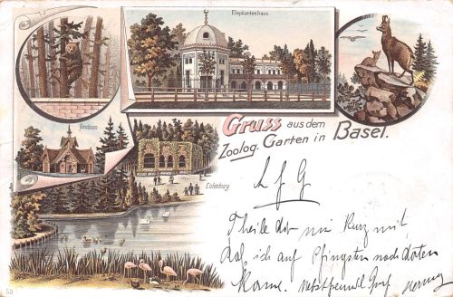 Schweiz Basel Litho Zoologischer Garten Mehrbild gl1896 301.330
