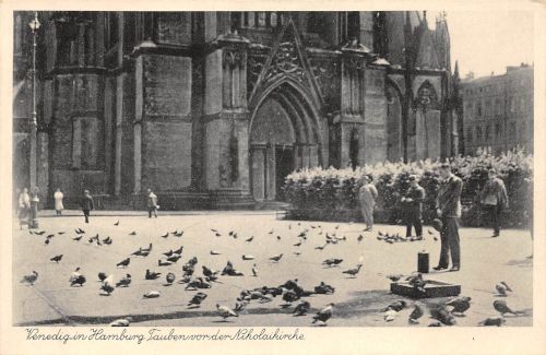 Hamburg Tauben vor der Nikolaikirche ngl 301.379