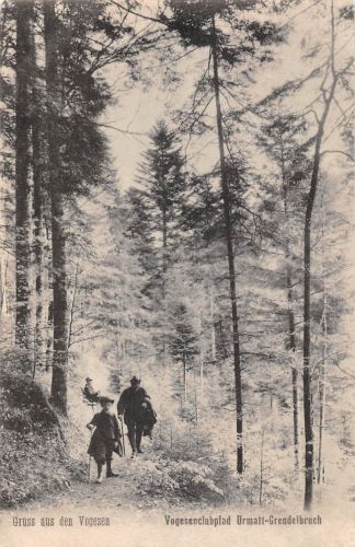 Elsass Vogesenclubpfad Urmatt-Grendelbruch bahnpgl 301.738