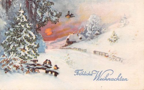 Glückwunsch Fröhliche Weihnachten gl 301.784