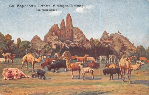 Motiv Tiere Zoo Hagenbecks Tierpark Hamburg Künstlerkarte ngl 301.792