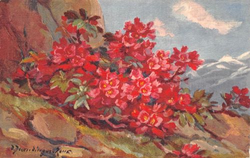 Motiv Blumen Rhodendron - Alpenrosen Künstlerkarte ngl 301.806
