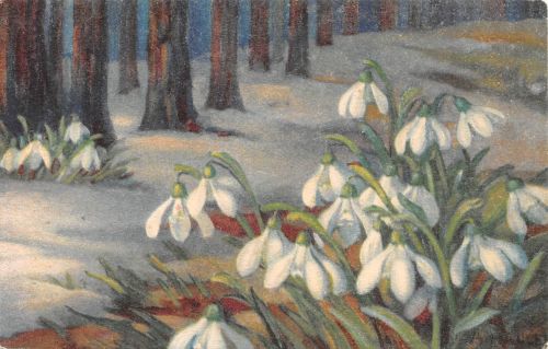 Motiv Künstler A. Haller Blumen ngl 301.816