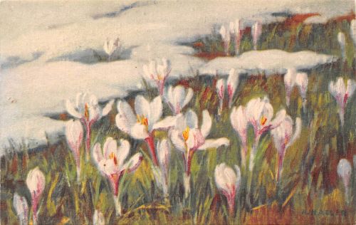 Motiv Künstler A. Haller Blumen ngl 301.817