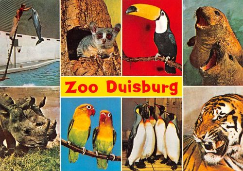 Tiere/Zoo Zoo Duisburg ngl 302.325