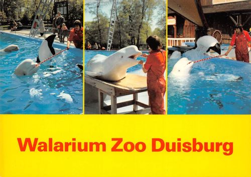 Tiere/Zoo Zoo Duisburg Walarium ngl 302.326