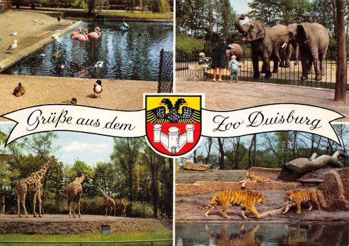Tiere/Zoo Zoo Duisburg ngl 302.327