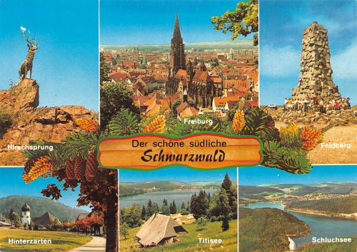 Landschaften-AK Südlicher Schwarzwald ngl 302.374