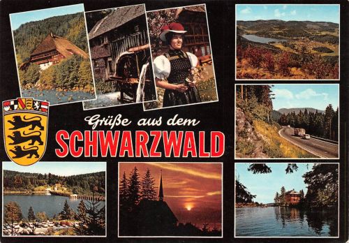 Landschaften-AK Schwarzwald ngl 302.375