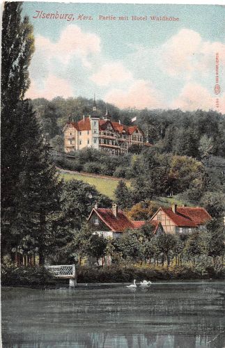 Ilsenburg (Harz) Partie mit Hotel Waldhöhe ngl 302.419