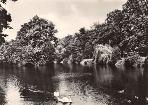 Dahme Schloßpark gl 302.775