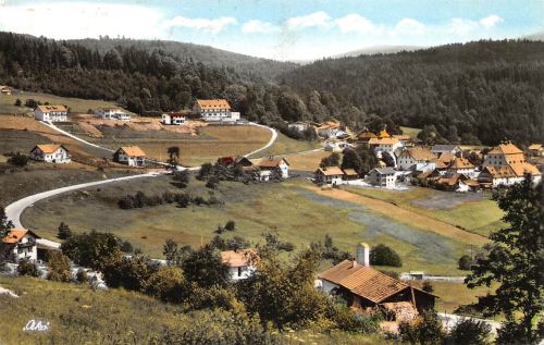Rabenstein bei Zwiesel Panorama gl 303.715