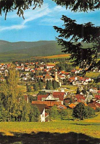 Frauenau im Bayerischen Wald Panorama gl1983 303.719