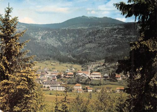 Bodenmais (Bayrischer Wald) Panorama mit Arber gl1972 303.724