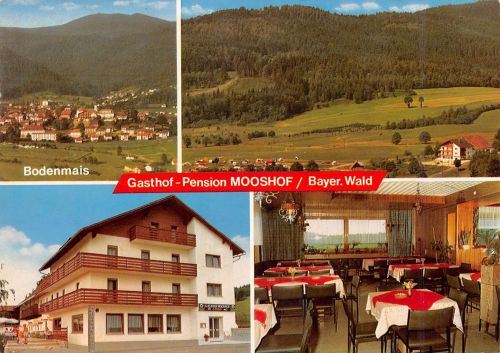 Bodenmais (Bayrischer Wald) Gasthof Mooshof ngl 303.732