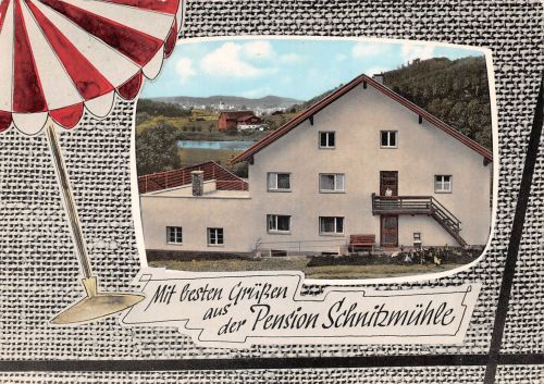 Viechtach i. bayr. Wald Pension Schnitzmühle gl1964 303.734