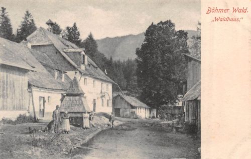Böhmen "Waldhaus" ngl 303.748
