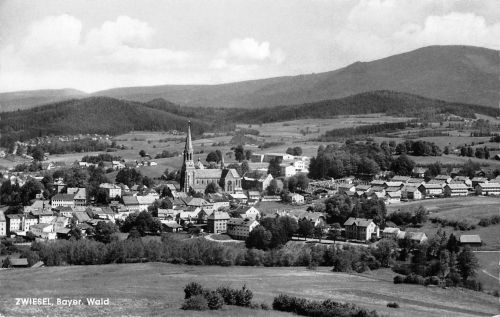 Zwiesel bayer. Wald Panorama gl1965 303.754