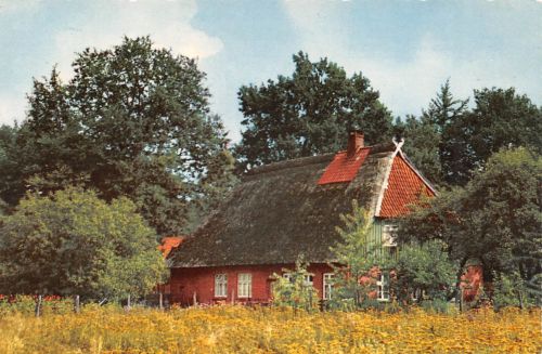 Bergen (Kr. Celle) Gasthof und Schlachterei ngl 304.461
