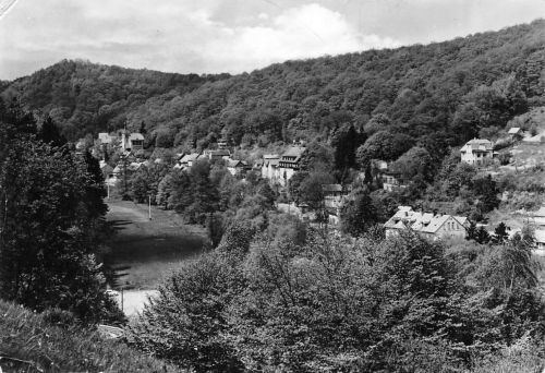Altenbrak (Harz) Blick vom Osterberg gl 304.717