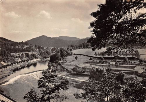 Ziegenrück a.d. Saale Blick auf die Saale gl1957 304.731