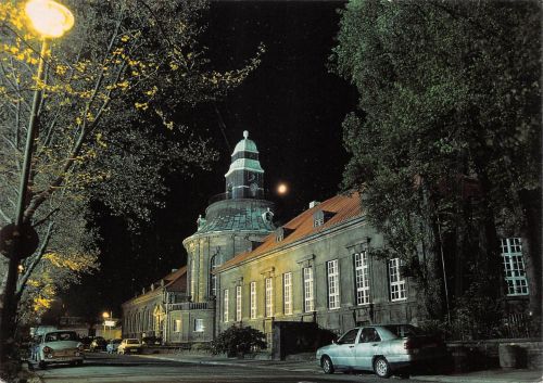 Zwickau Städisches Museum ngl 304.815