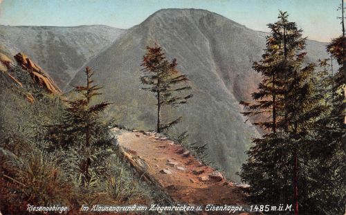 Riesengebirge Klausengrund am Ziegenrücken ngl 305.095