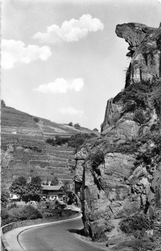 Walporzheim Weinhaus "Zur Bunten Kuh" ngl 305.314