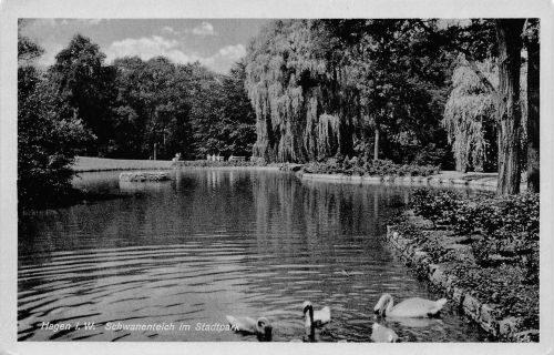 Hagen i. W. Schwanenteich im Stadtpark ngl 305.350