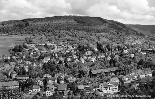 Bad Orb Blick vom Molkenberg gl1961 305.441