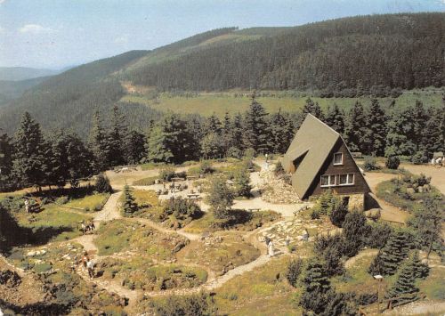 Oberhof (Thür. Wald) Rennsteiggarten gl2004 305.506