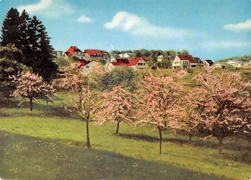 Rengsdorf Blick von der Terrasse ngl 305.859