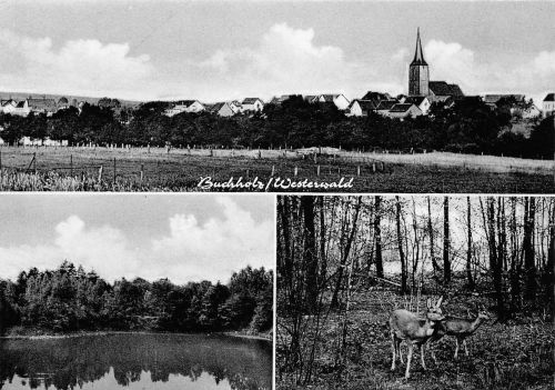 Buchholz/Westerwald Mehrbildkarte ngl 305.871