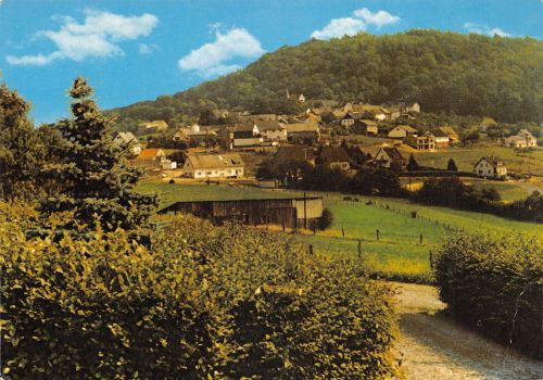 Aremberg (Eifel) Panorama ngl 305.893