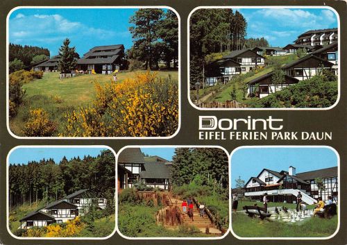 Daun (Eifel) Dorint Eifel Ferien Park gl1993 305.922