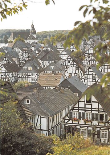 Freudenberg Teilansicht Rückseitig mit Reklame ngl 305.953